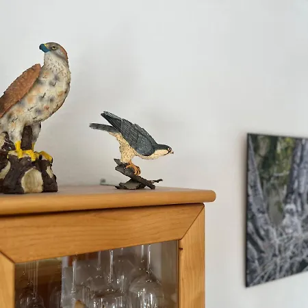 Daire Der Falkenhorst