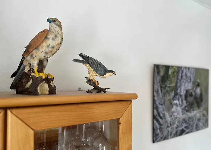 Daire Der Falkenhorst