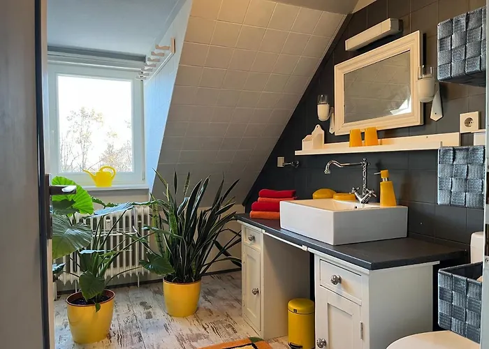 Der Falkenhorst * Bad Sachsa